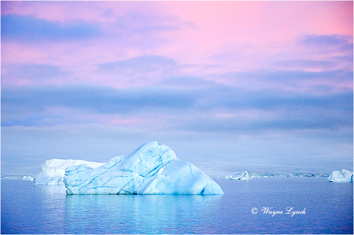 Antarctic Iceberg 104  by Dr. Wayne Lynch &copy;
