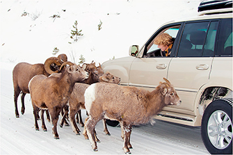 Aubrey's 65th Birthday Party Jasper 2012