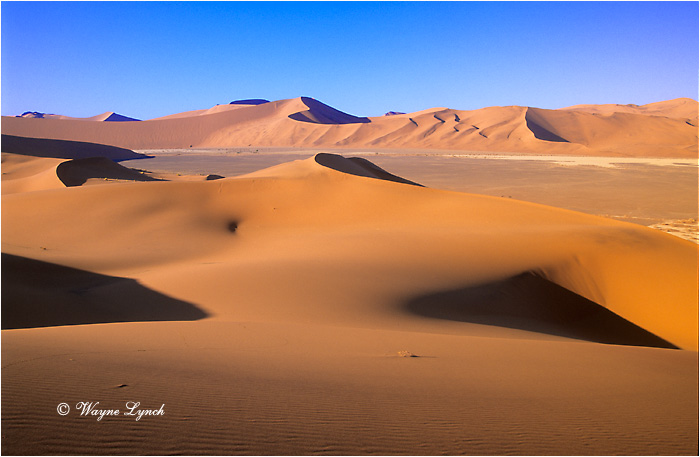 Soussusvlei Namibia 103 by Wayne Lynch &copy;