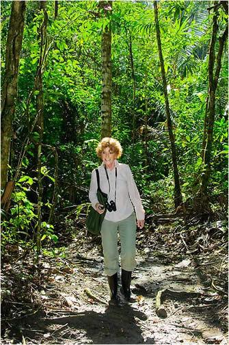 Jungle Trail Belize 2012