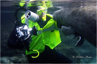 Wayne & Manatee Mugger 4