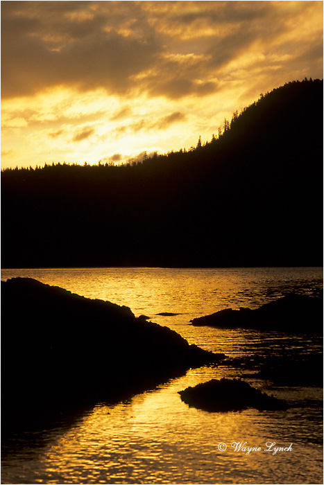 Haida Gwaii National Park  by Dr. Wayne Lynch &copy;