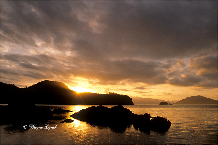Haida Gwaii National Park  by Dr. Wayne Lynch &copy;