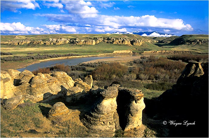 Prairie Alberta 105 by Wayne Lynch &copy;
