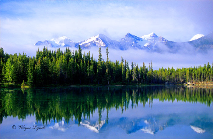 Banff National Park 104 by Wayne Lynch &copy;