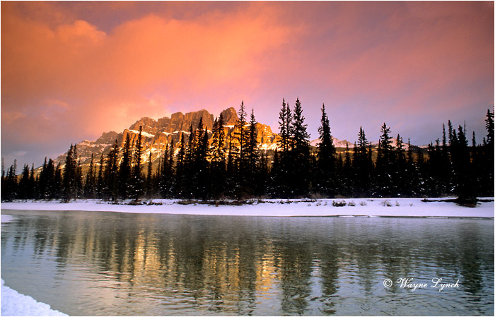 Banff National Park 103 by Wayne Lynch &copy;