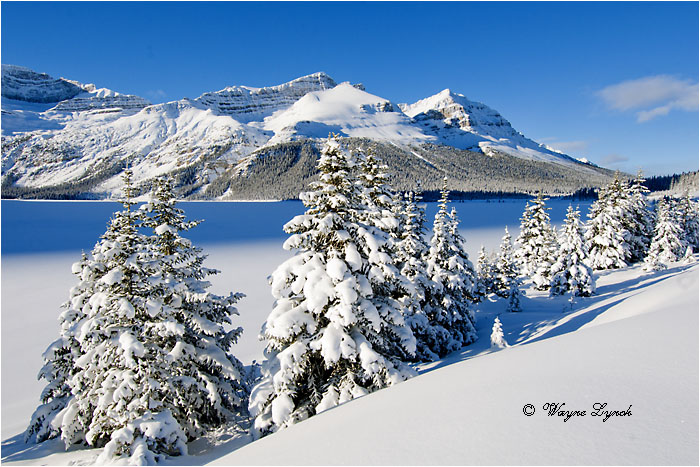 Bow Lake Banff National Park 102 by Dr. Wayne Lynch &copy;